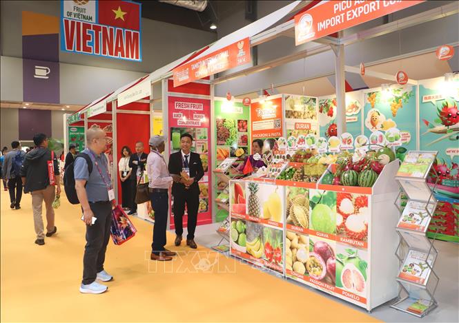 Tăng cường quảng bá rau quả Việt Nam tại Hội chợ Asia Fruit Logistica